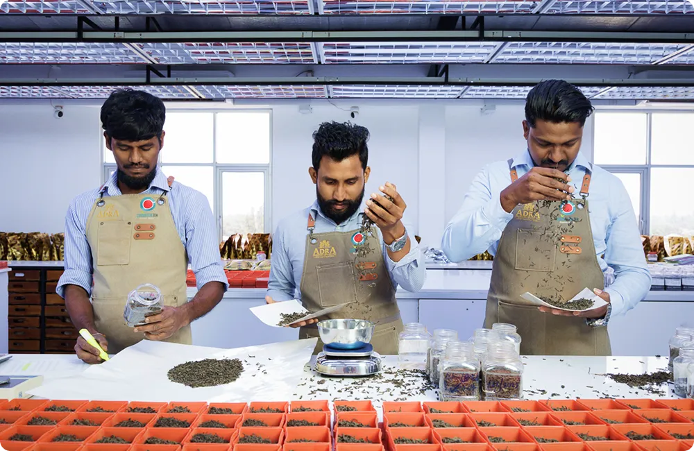 Journey gallery image