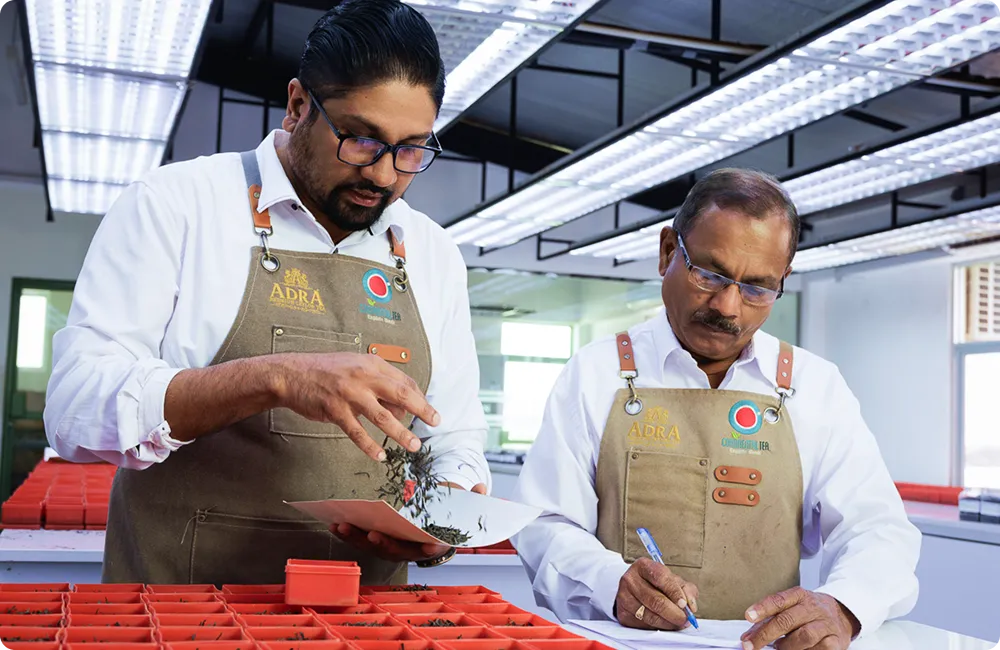 Journey gallery image