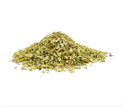Fennel Seeds