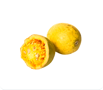 Bel Fruit (Beli Mal)