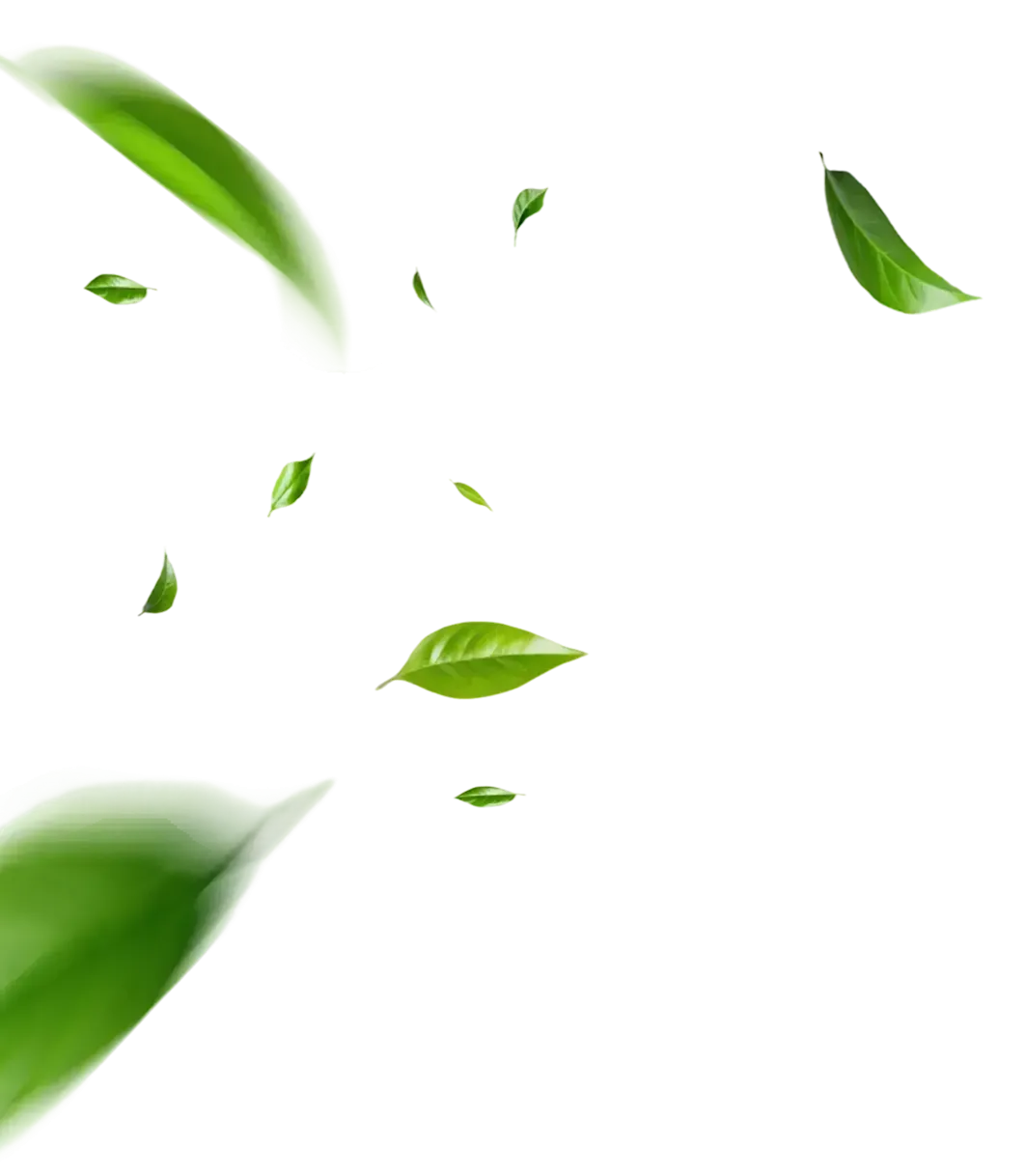 Introduction animation